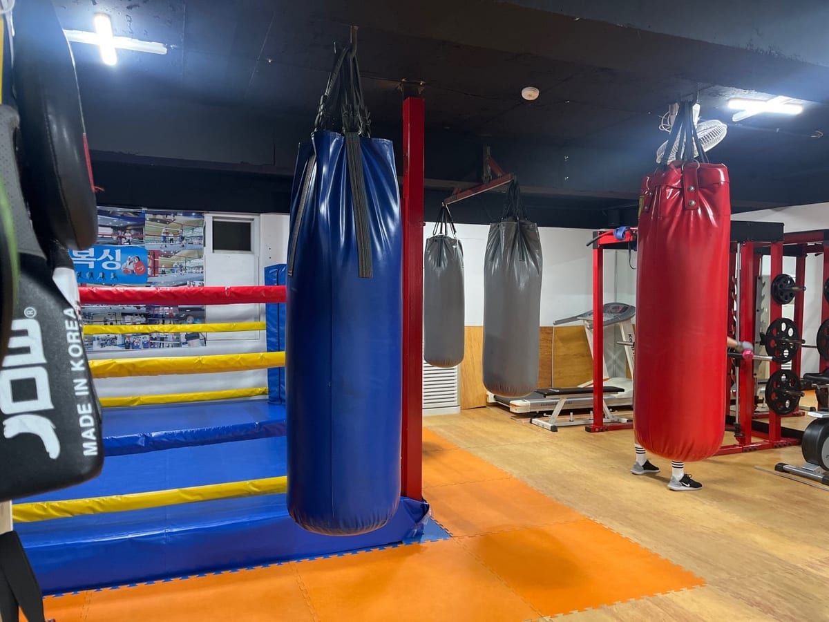 수년복싱 사진 13