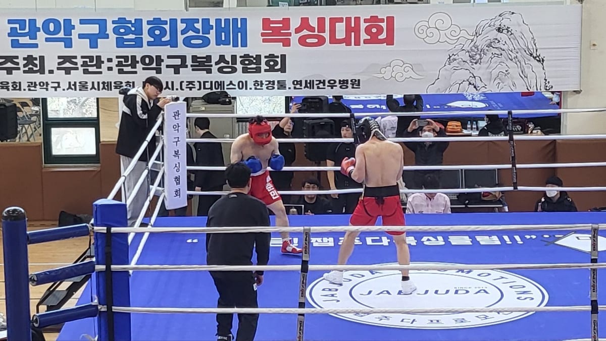 수년복싱 사진 7